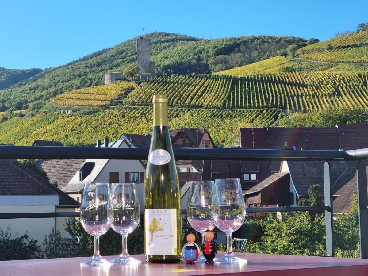 Gites Les Terrasses Du Wineck Katzenthal Zewnętrze zdjęcie