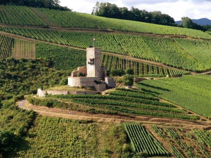 Gites Les Terrasses Du Wineck Katzenthal Zewnętrze zdjęcie